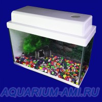 Бюджет аквариумы